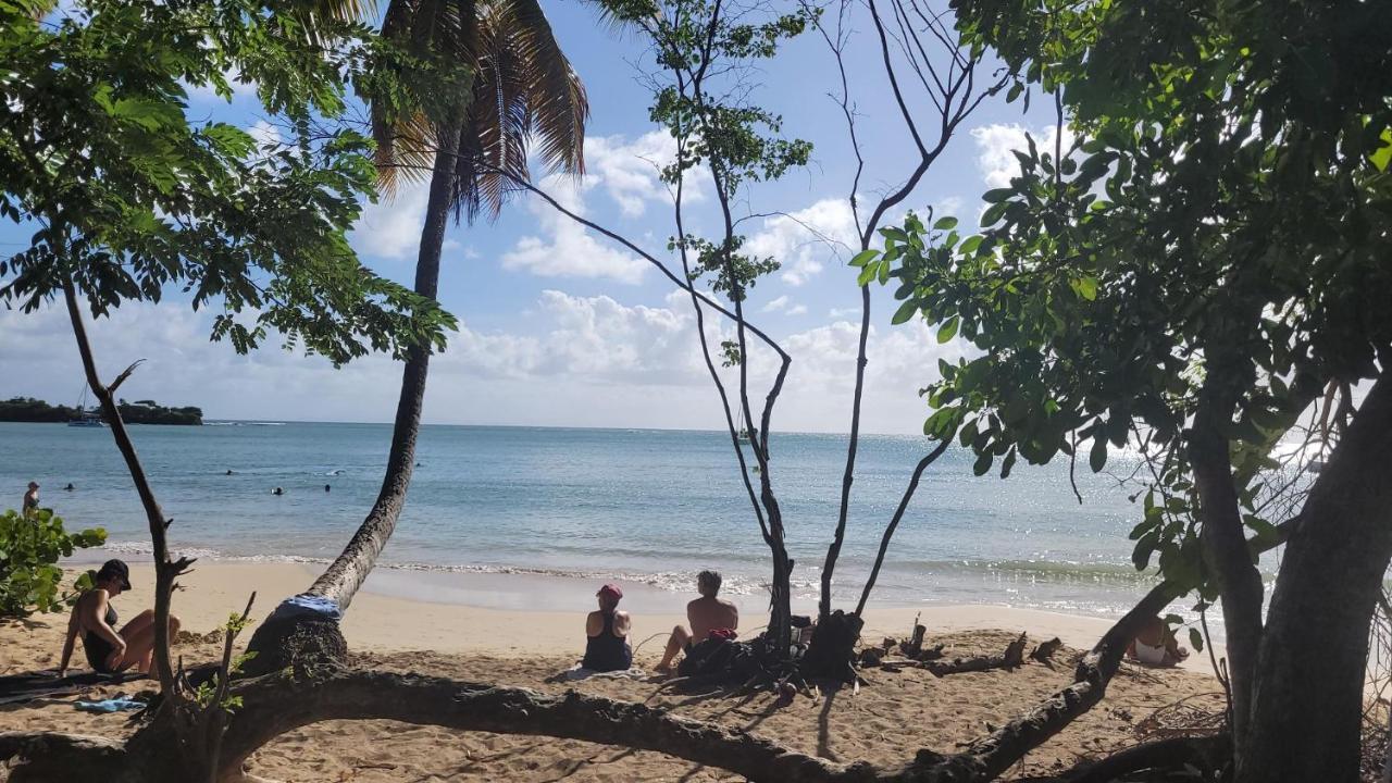 Villa Caraibes Vue Mer Exceptionnelle Le Marin Екстериор снимка